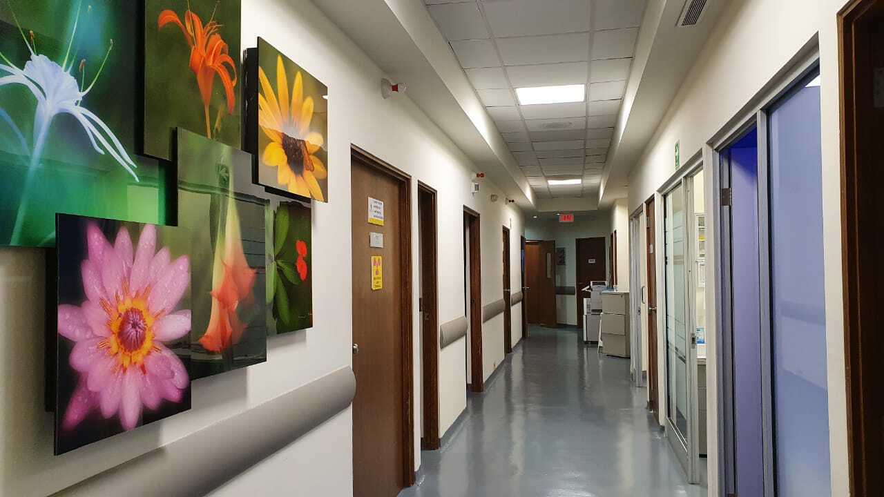 Interior de Hospitaria, Hospital y centro Médico