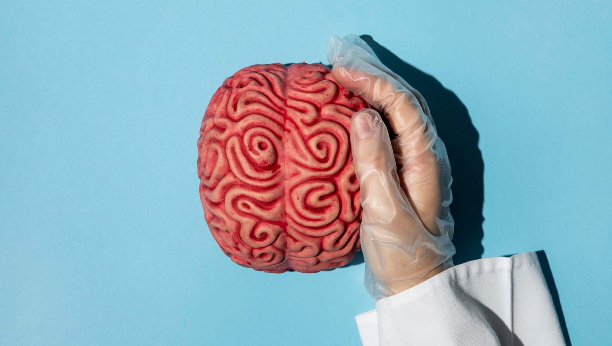 Mano de un doctor sosteniendo un cerebro en el Día Mundial del Cerebro